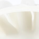 wpl-31001043_dryer_blower_wheel-default