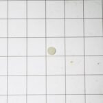 wpl-wp211726_washer_lid_hinge-default