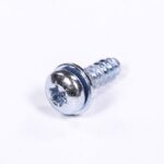 Screw