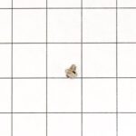 geh-wb1x1293_range_igniter_mounting_screw-default