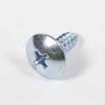 Screw