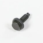 SCREW