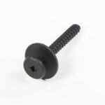 SCREW